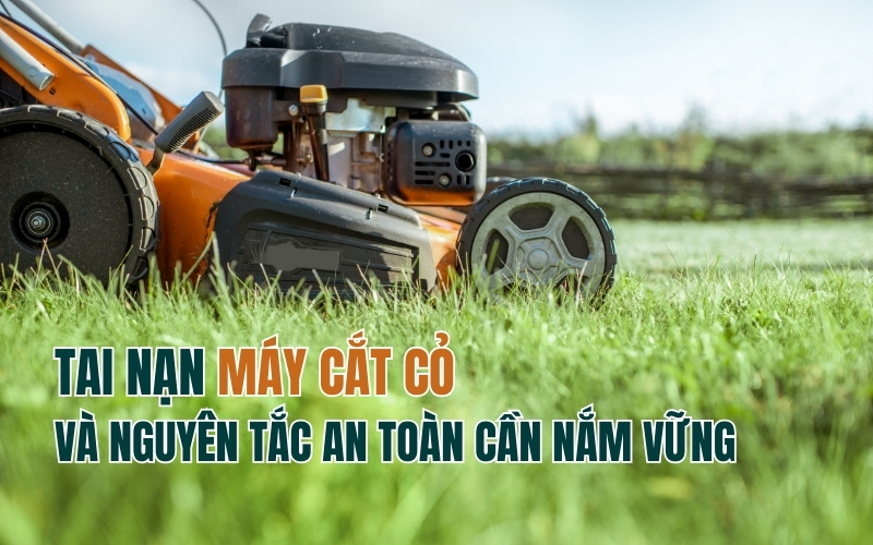 Tai Nạn Máy Cắt Cỏ Và Nguyên Tắc An Toàn Cần Nắm Vững