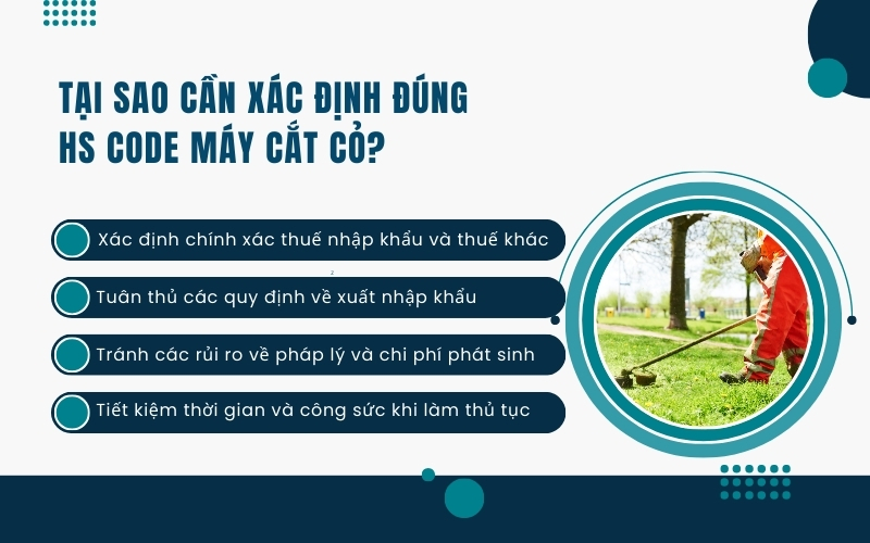 Tại sao cần xác định đúng HS code máy cắt cỏ?