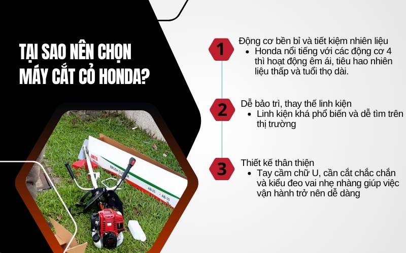 Tại sao nên chọn máy cắt cỏ Honda