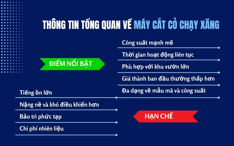 Thông tin tổng quan về máy cắt cỏ chạy xăng