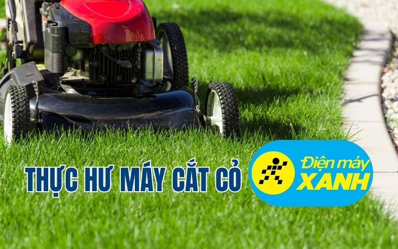 Thực hư máy cắt cỏ điện máy xanh