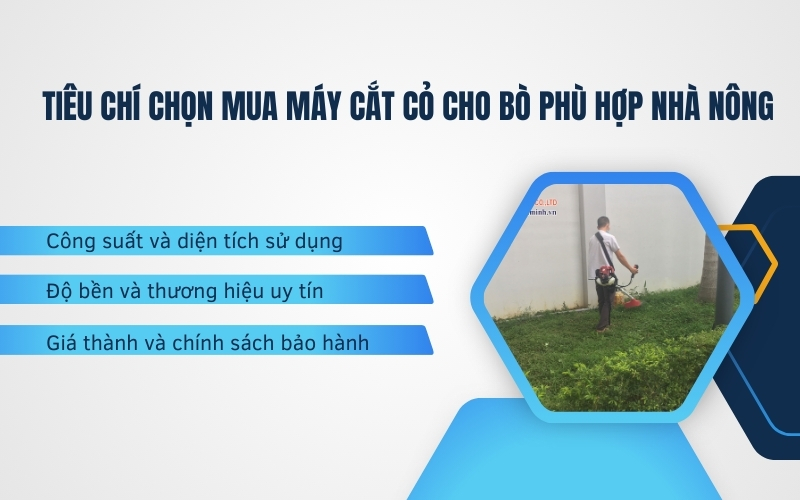 Tiêu chí chọn mua máy cắt cỏ cho bò phù hợp nhà nông