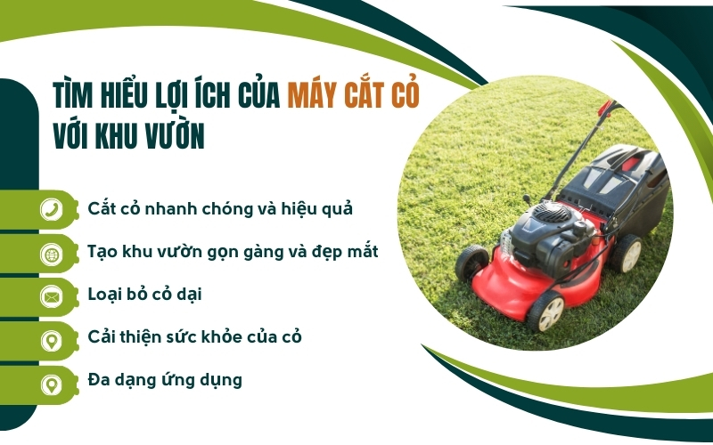 Tìm hiểu lợi ích của máy cắt cỏ với khu vườn