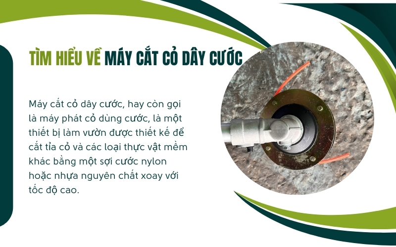 Tìm hiểu về máy cắt cỏ dây cước