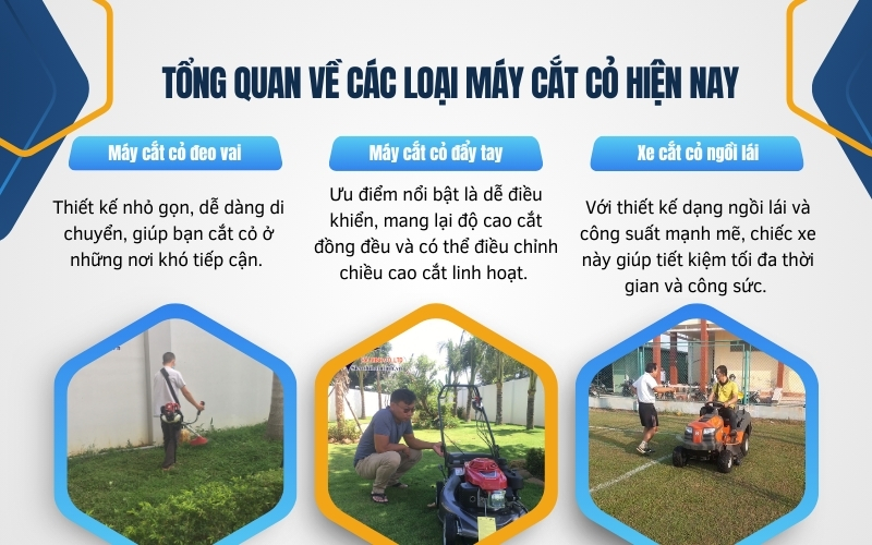 Tổng quan về các loại máy cắt cỏ hiện nay