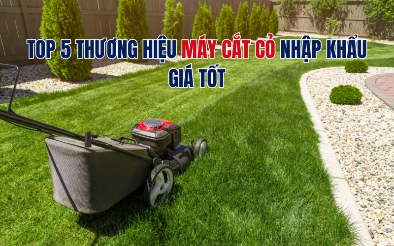 Top 5 thương hiệu máy cắt cỏ nhập khẩu giá tốt