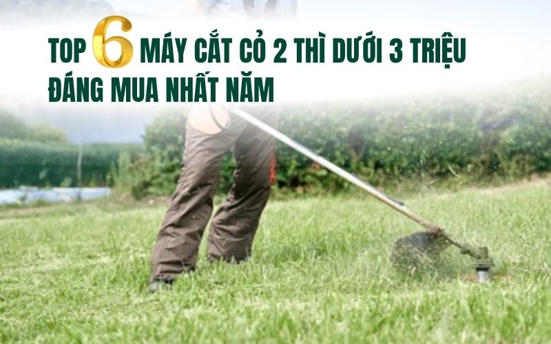 Top 6 Máy Cắt Cỏ 2 Thì Dưới 3 Triệu Đáng Mua Nhất Năm