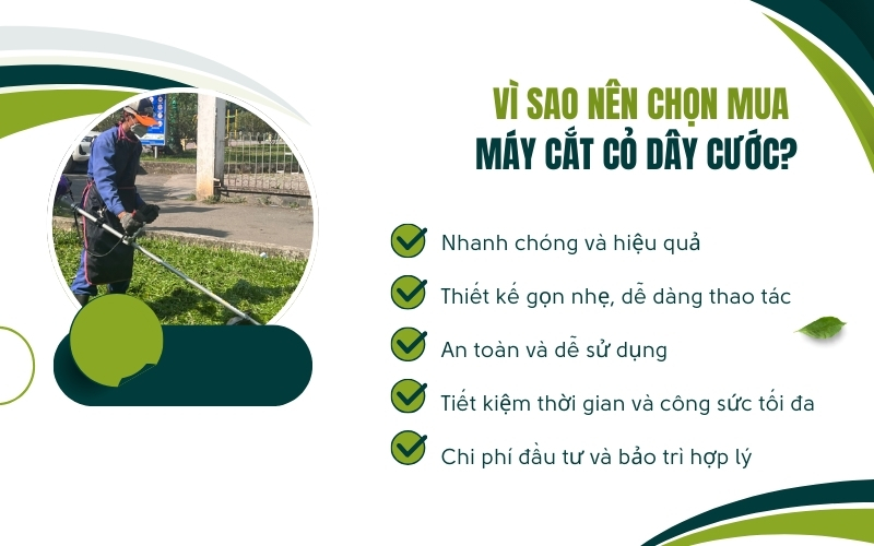 Vì sao nên chọn mua máy cắt cỏ dây cước?