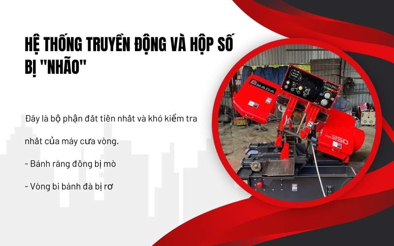 Hệ thống truyền động và hộp số bị 