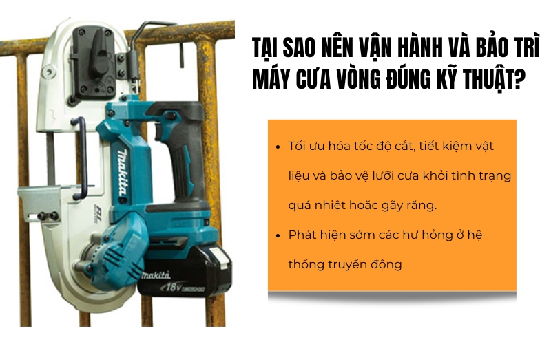 Tại sao nên vận hành và bảo trì máy cưa vòng đúng kỹ thuật?