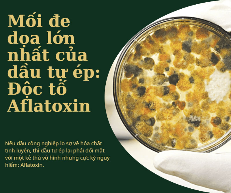 Mối đe dọa lớn nhất của dầu tự ép: Độc tố Aflatoxin