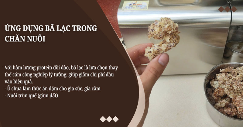 Ứng dụng bã lạc trong chăn nuôi  