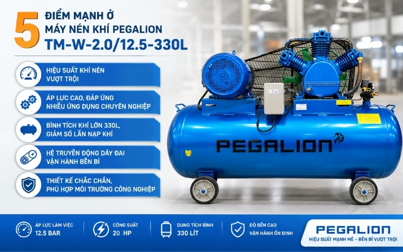 5 điểm mạnh ở máy nén khí Pegalion TM-W-2.012.5-330L