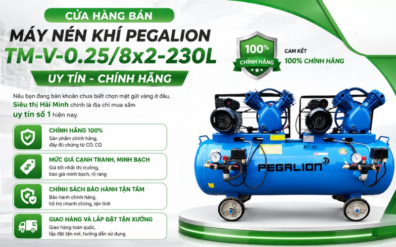 Cửa hàng bán Máy nén khí Pegalion TM-V-0.25/8x2-230L uy tín, chính hãng?