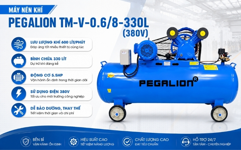Đặc điểm nổi bật của máy nén khí Pegalion TM-V-0.68-330L (380V)