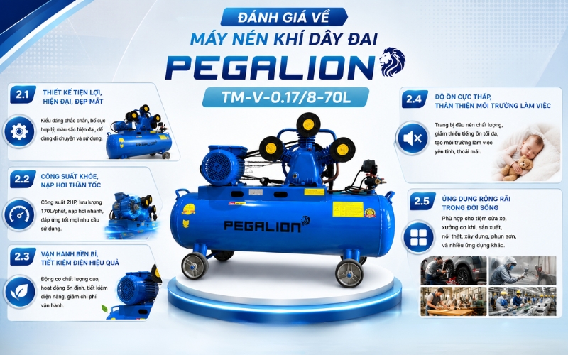 Đánh giá về Máy nén khí Pegalion TM-V-0.17/8-70L