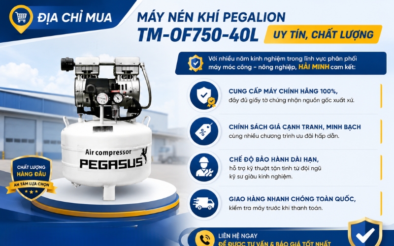 Địa chỉ mua Máy nén khí Pegalion TM-OF750-40L uy tín, chất lượng