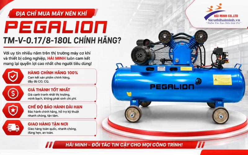 Địa chỉ mua Máy nén khí Pegalion TM-V-0.17/8-180L chính hãng?
