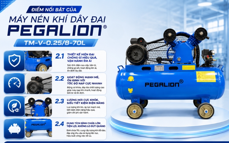 Điểm nổi bật của Máy nén khí Pegalion TM-V-0.25/8-70L