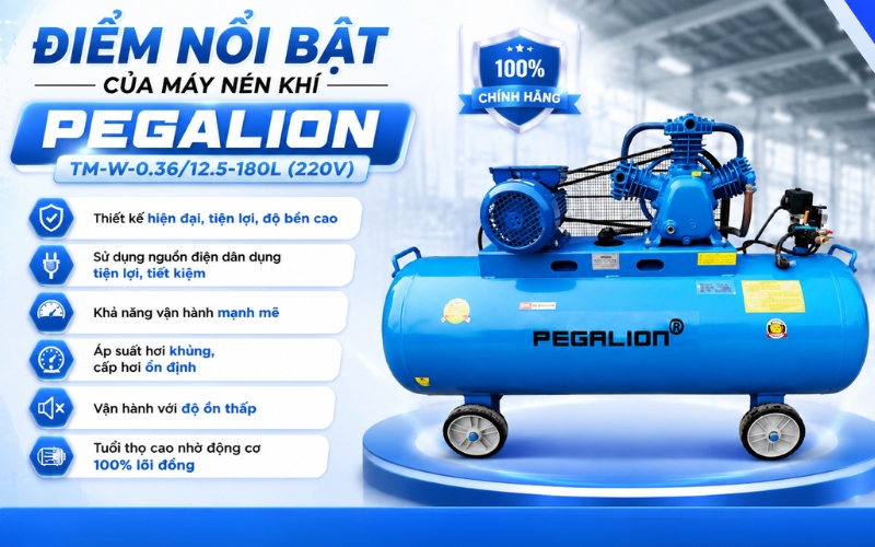 Điểm nổi bật của Máy nén khí Pegalion TM-W-0.36/12.5-180L (220V)