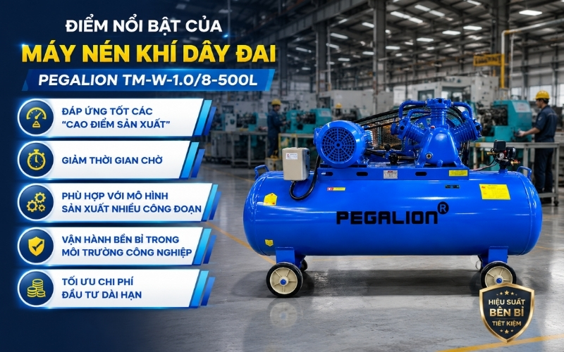 Điểm nổi bật của máy nén khí dây đai Pegalion TM-W-1.08-500L