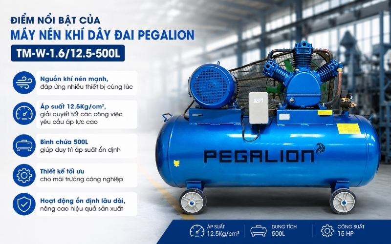 Điểm nổi bật của máy nén khí dây đai Pegalion TM-W-1.612.5-500L
