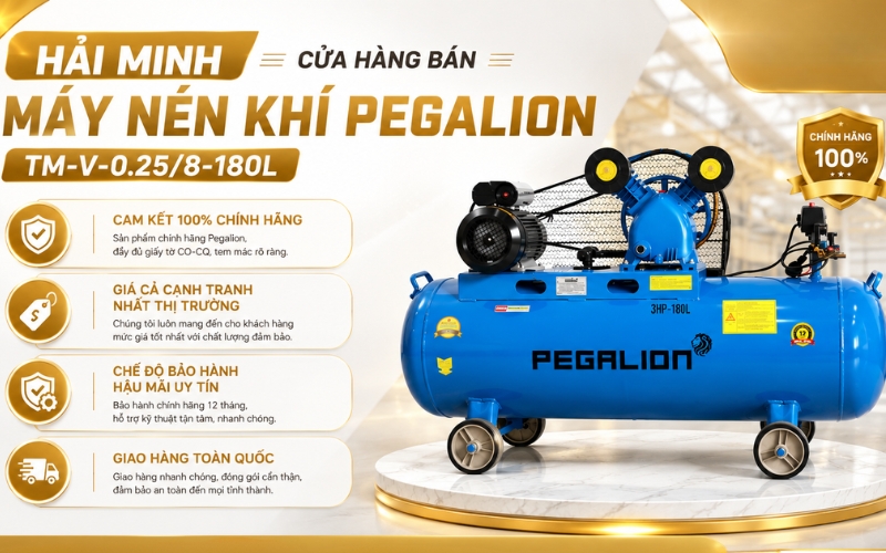Hải Minh - cửa hàng bán Máy nén khí Pegalion TM-V-0.25/8-180L chính hãng