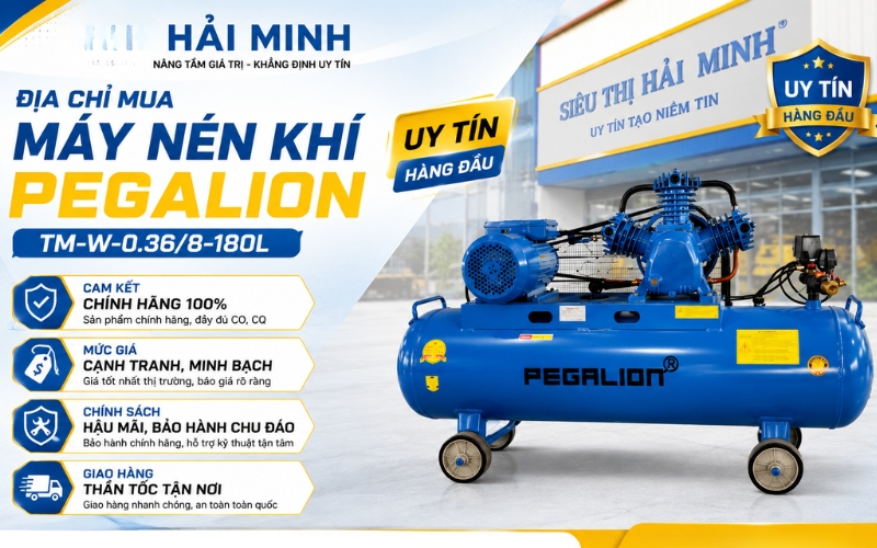Hải Minh - địa chỉ mua Máy nén khí Pegalion TM-W-0.36/8-180L uy tín
