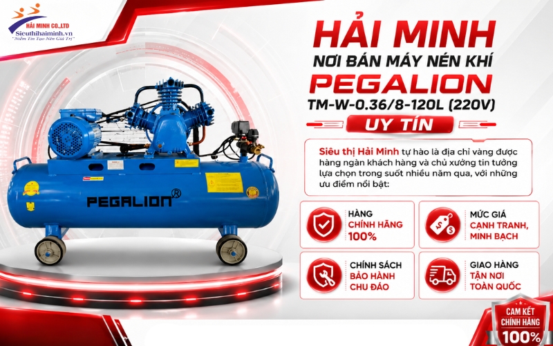 Hải Minh - nơi bán Máy nén khí Pegalion TM-W-0.36/8-120L (220V) uy tín