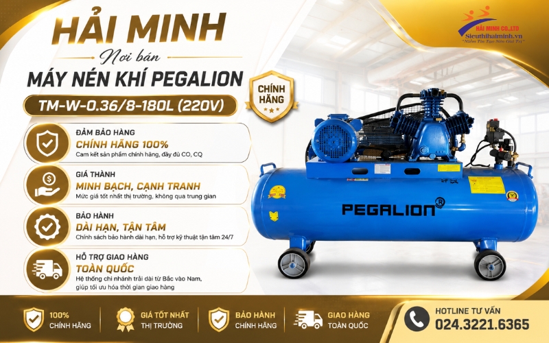Hải Minh - nơi bán Máy nén khí Pegalion TM-W-0.36/8-180L (220V) chính hãng