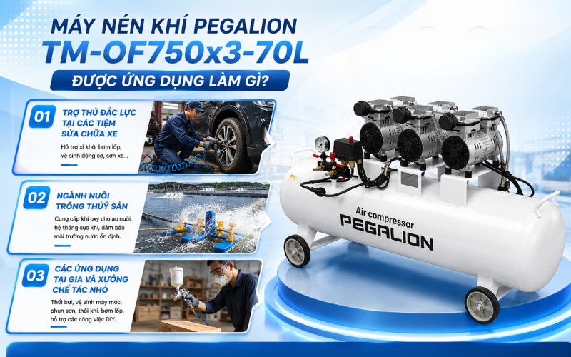 Máy nén khí Pegalion TM-OF750x3-70L được ứng dụng làm gì?