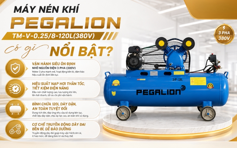 Máy nén khí Pegalion TM-V-0.25/8-120L(380V) có gì nổi bật?