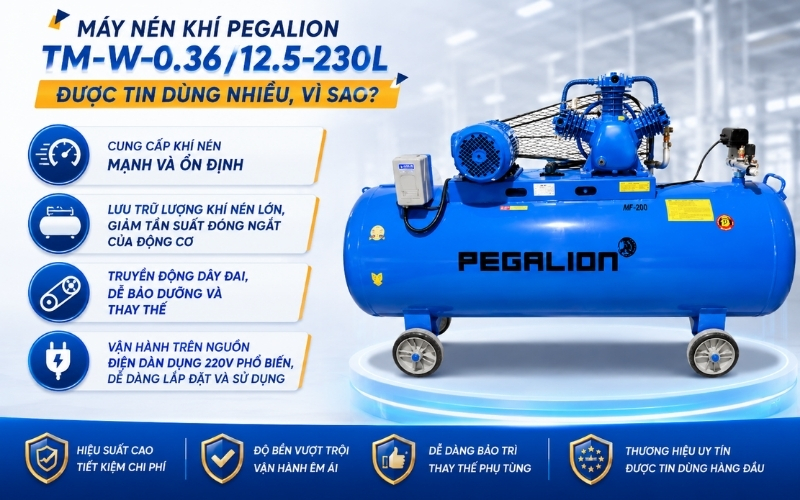 Máy nén khí Pegalion TM-W-0.3612.5-230L được tin dùng nhiều, vì sao