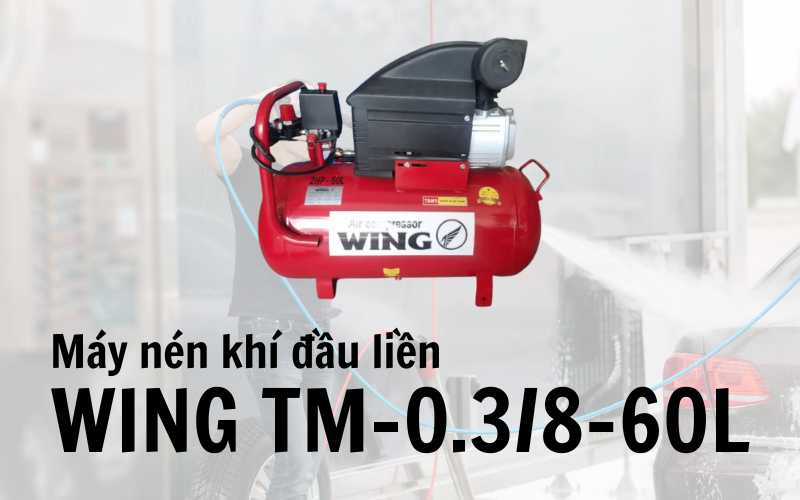 Máy nén khí đầu liền WING TM-0.3/8-60L