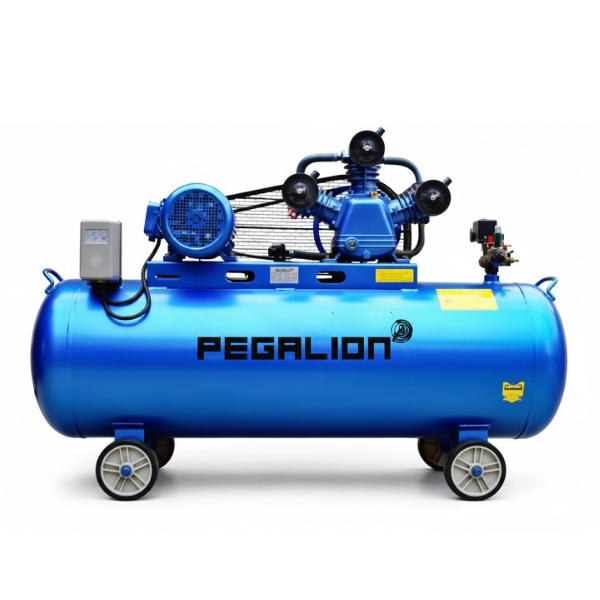 máy nén khí dây đai Pegalion TM-W-0.36/8-330L