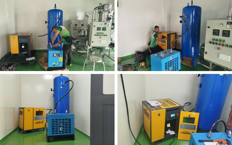 Máy sấy khí PEGASUS TMMSK-15