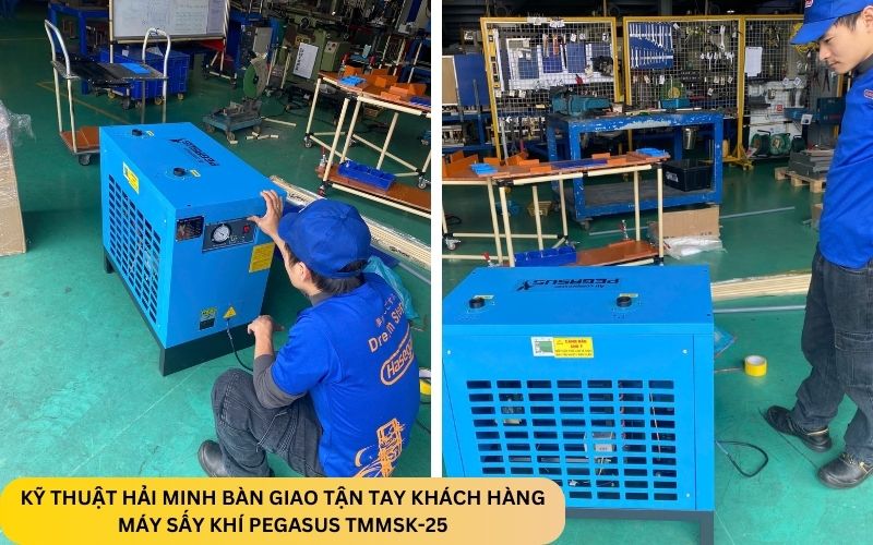 Máy sấy khí PEGASUS TMMSK-25