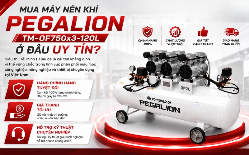 Mua Máy nén khí Pegalion TM-OF750x3-120L ở đâu uy tín?