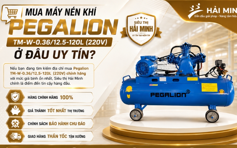 Mua Máy nén khí Pegalion TM-W-0.36/12.5-120L (220V) ở đâu uy tín?