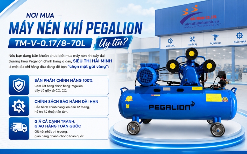 Nơi mua Máy nén khí Pegalion TM-V-0.17/8-70L uy tín?
