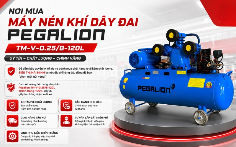 Nơi mua Máy nén khí Pegalion TM-V-0.25/8-120L uy tín?