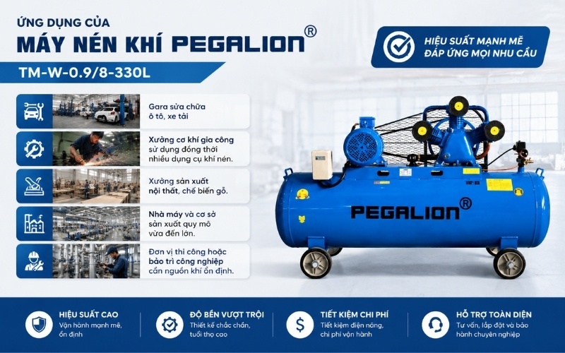 Pegalion TM-W-0.98-330L phù hợp với những công việc nào