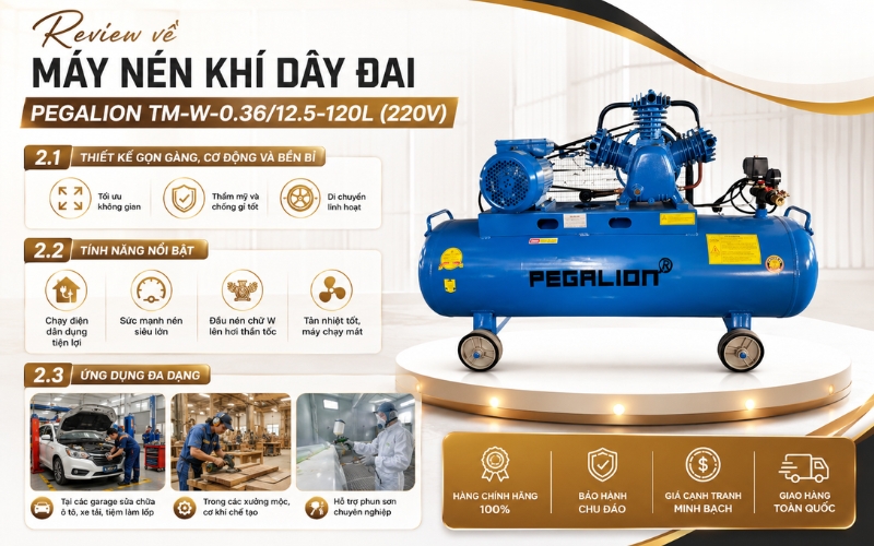 Review về Máy nén khí dây đai Pegalion TM-W-0.36/12.5-120L (220V)