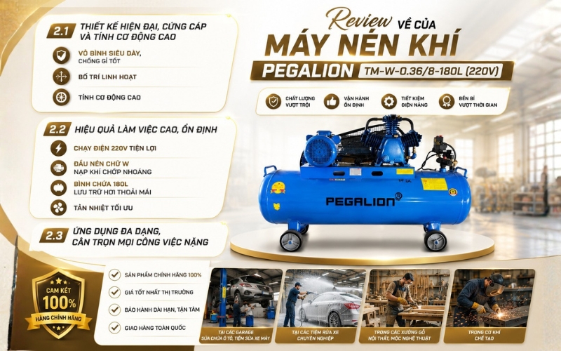 Review về của Máy nén khí Pegalion TM-W-0.36/8-180L (220V)