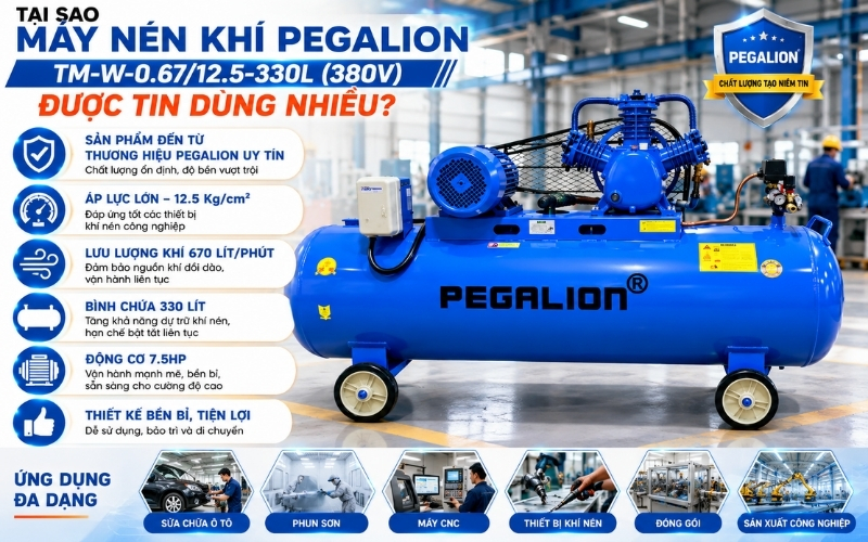 Tại sao máy nén khí Pegalion TM-W-0.6712.5-330L (380V) được tin dùng nhiều