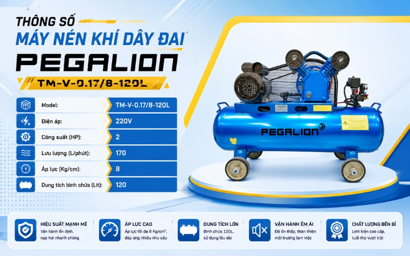 Thông số Máy nén khí dây đai Pegalion TM-V-0.17/8-120L