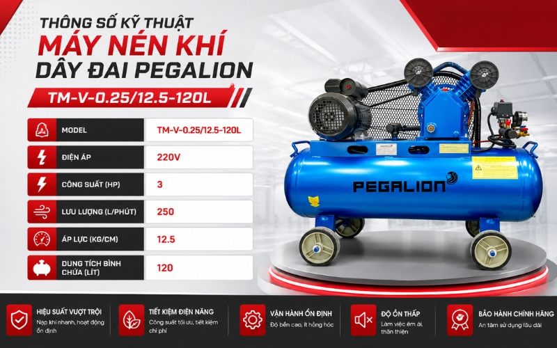 Thông số Máy nén khí dây đai Pegalion TM-V-0.25/12.5-120L