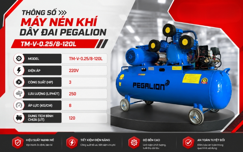 Thông số Máy nén khí dây đai Pegalion TM-V-0.25/8-120L