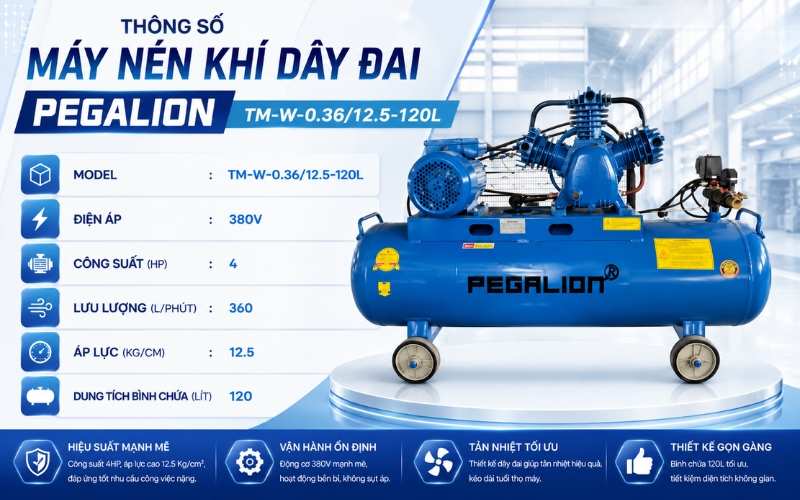 Thông số Máy nén khí dây đai Pegalion TM-W-0.36/12.5-120L