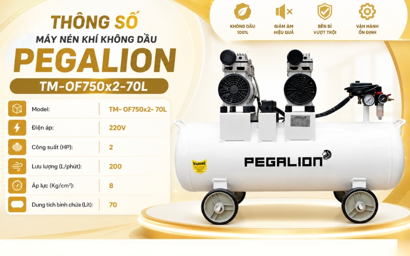 Thông số Máy nén khí không dầu Pegalion TM-OF750x2-70L